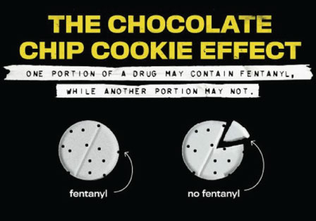 Chocolate-Chip-Cookie-Effect